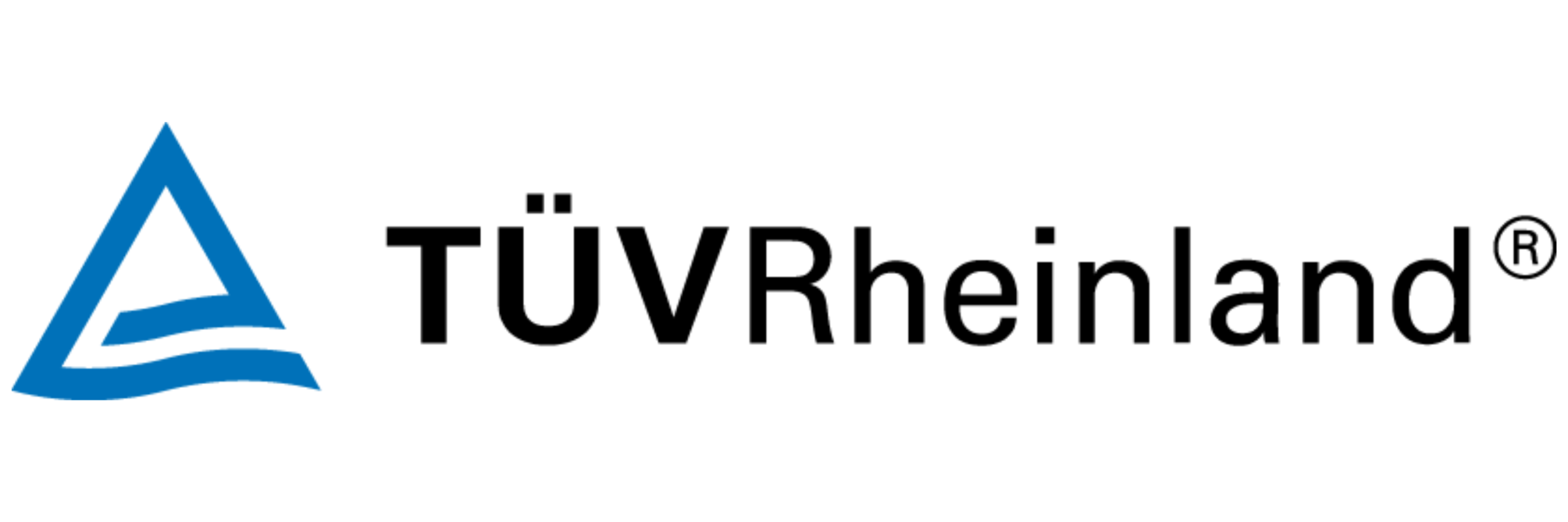 08_Logo_TUV Rheindland