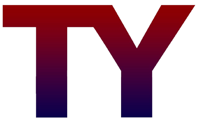BEIJING_TEYE_INDUSTRIAL___TRADE_CORP_-removebg-preview